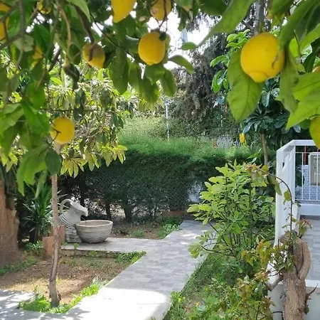 Elpida Lemon Garden House Ferienhaus Limassol