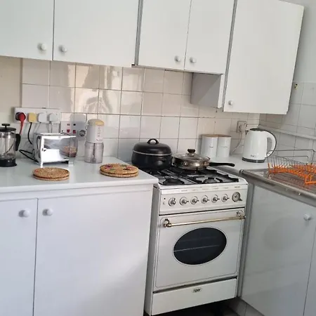 Elpida Lemon Garden House 利马索尔